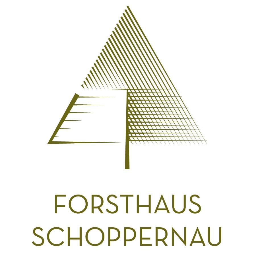 Forsthaus Schoppernau Hotel Eksteriør billede